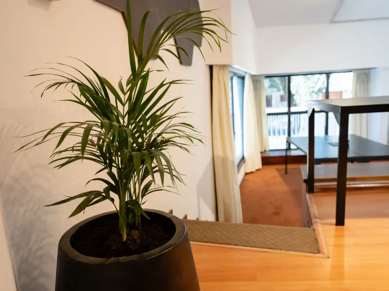 Casa Fader Coworking Oficina privada 12 puestos Sala 1 4